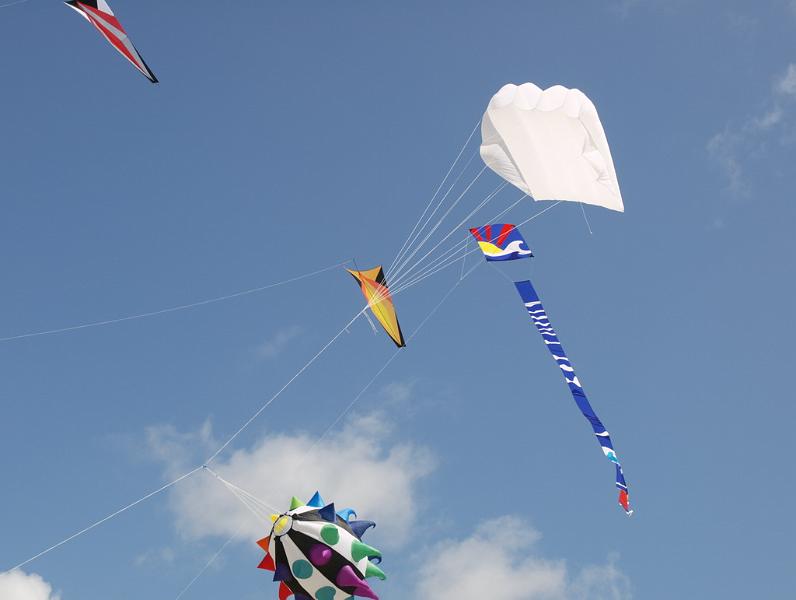 Fanø 2009 60.jpg